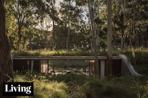 Semienterrada en una duna, esta casa escondida tiene grandes vistas al bosque desde adentro.