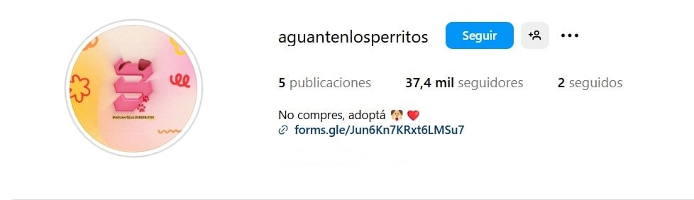 La cuenta alternativa que creó María Becerra para el tránsito de los perros rescatados