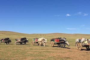 Mongolia. Viaje a la exótica estepa de nómadas y guerreros
