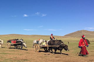 Mongolia. Viaje a la exótica estepa de nómadas y guerreros