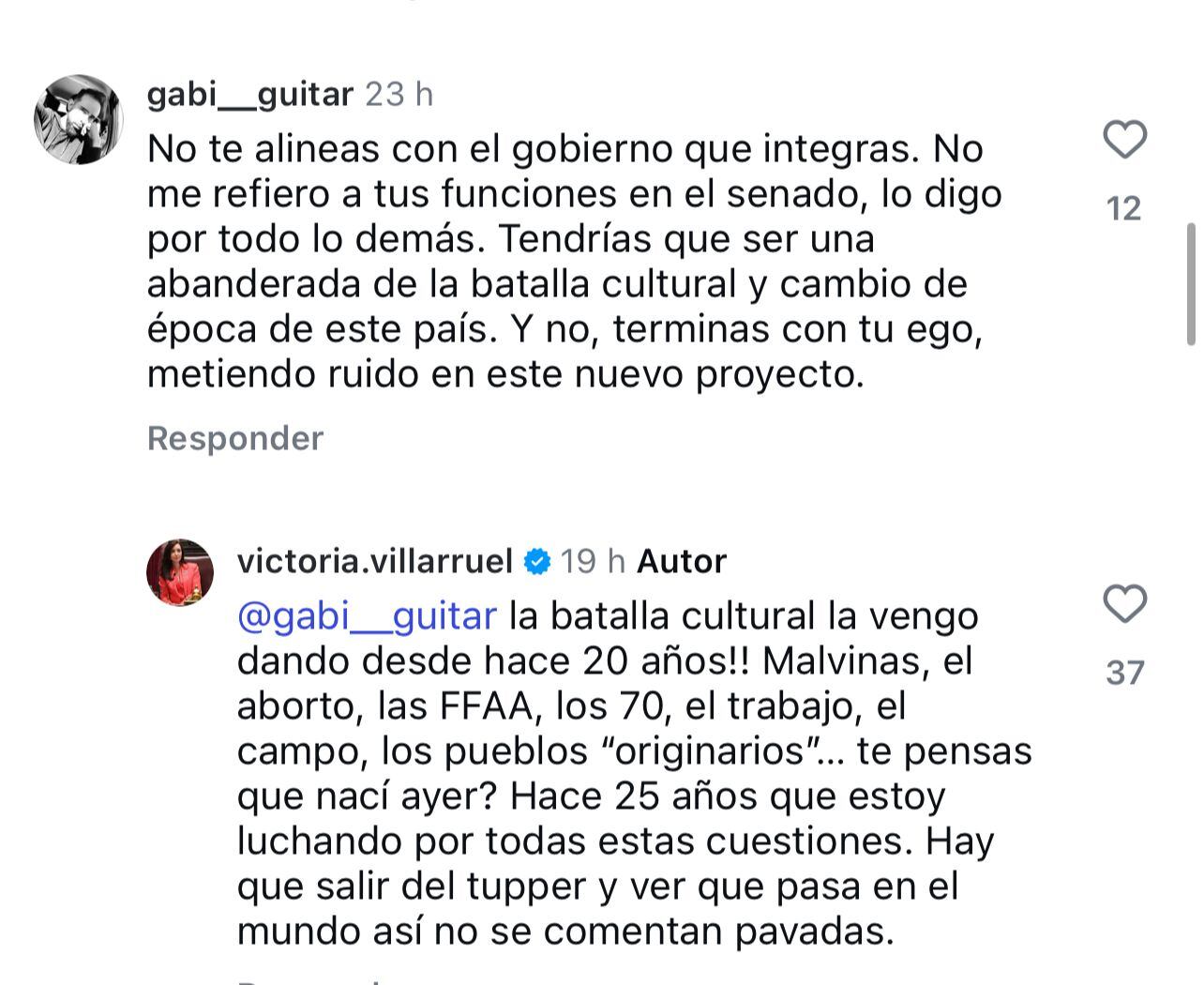 Las respuestas de Villarruel en Instagram
