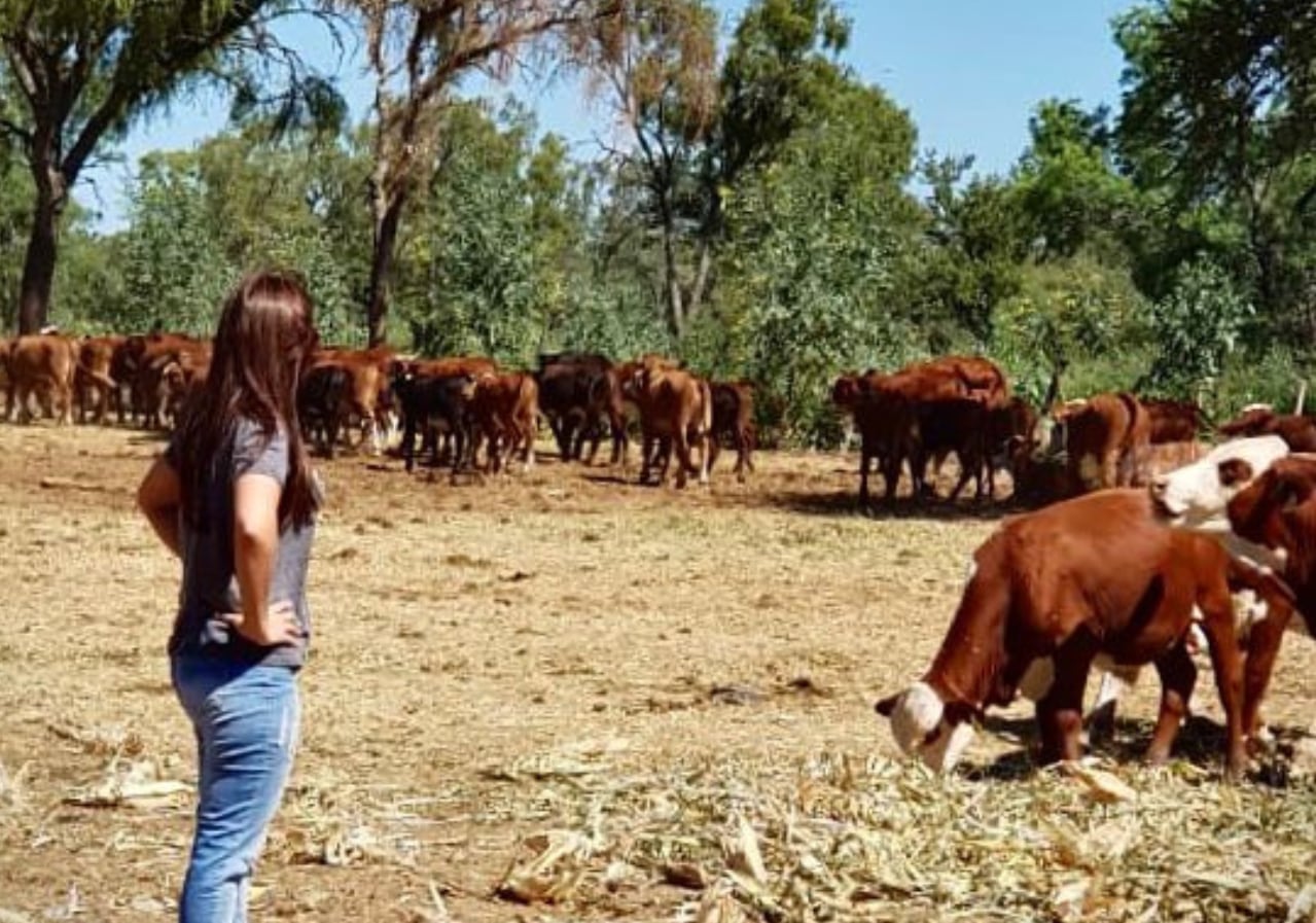 Natalia Auat junto a animales de la cabaña Las Higueras, el proyecto ganadero que impulsó en Santiago del Estero y que hoy combina genética, feedlot y comercialización de carne