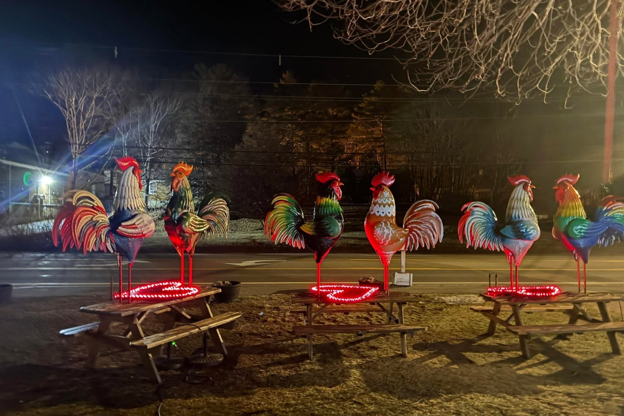 Los gallos son el animal favorito de la pequeña con autismo y por eso su familia los coleccionaba