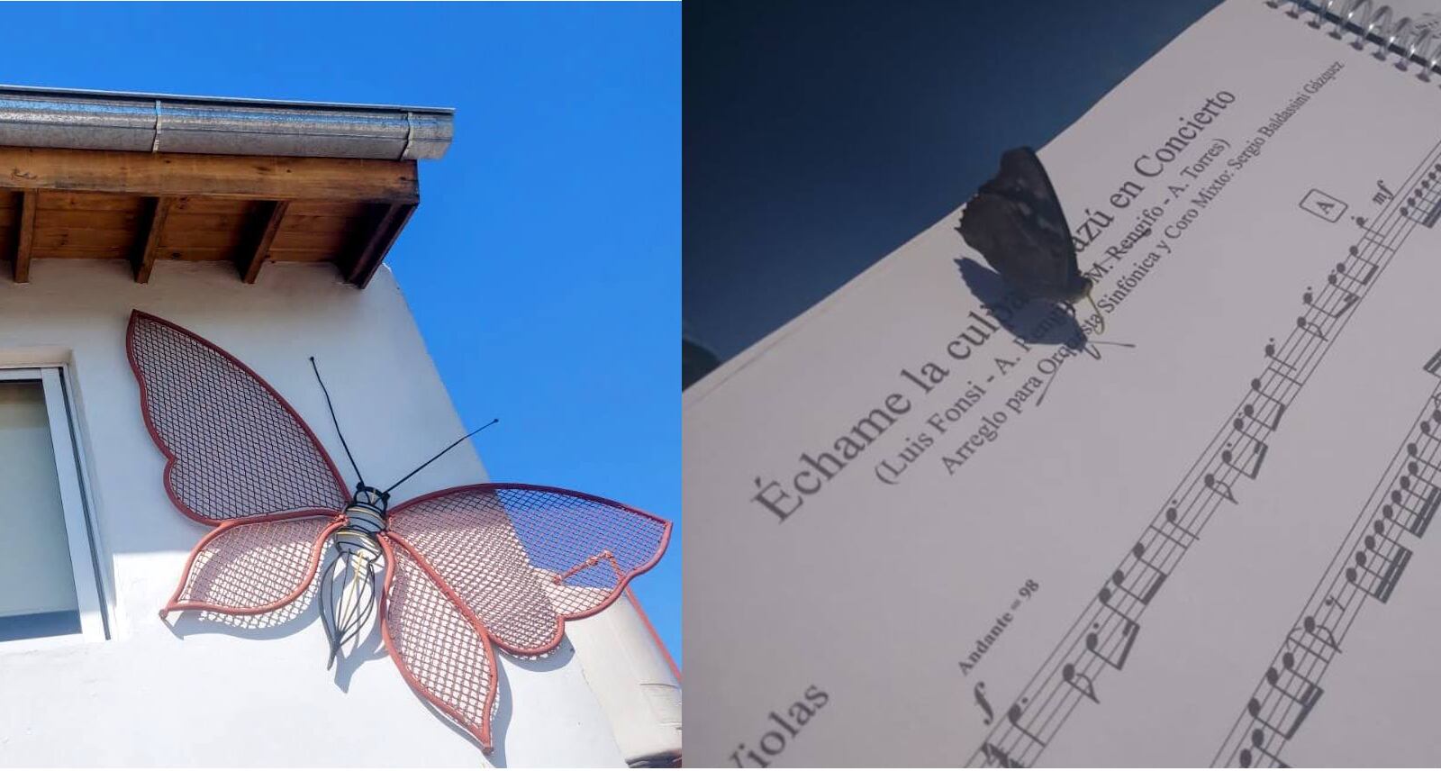 El abuelo tenía una fábrica de tejidos de alambre: