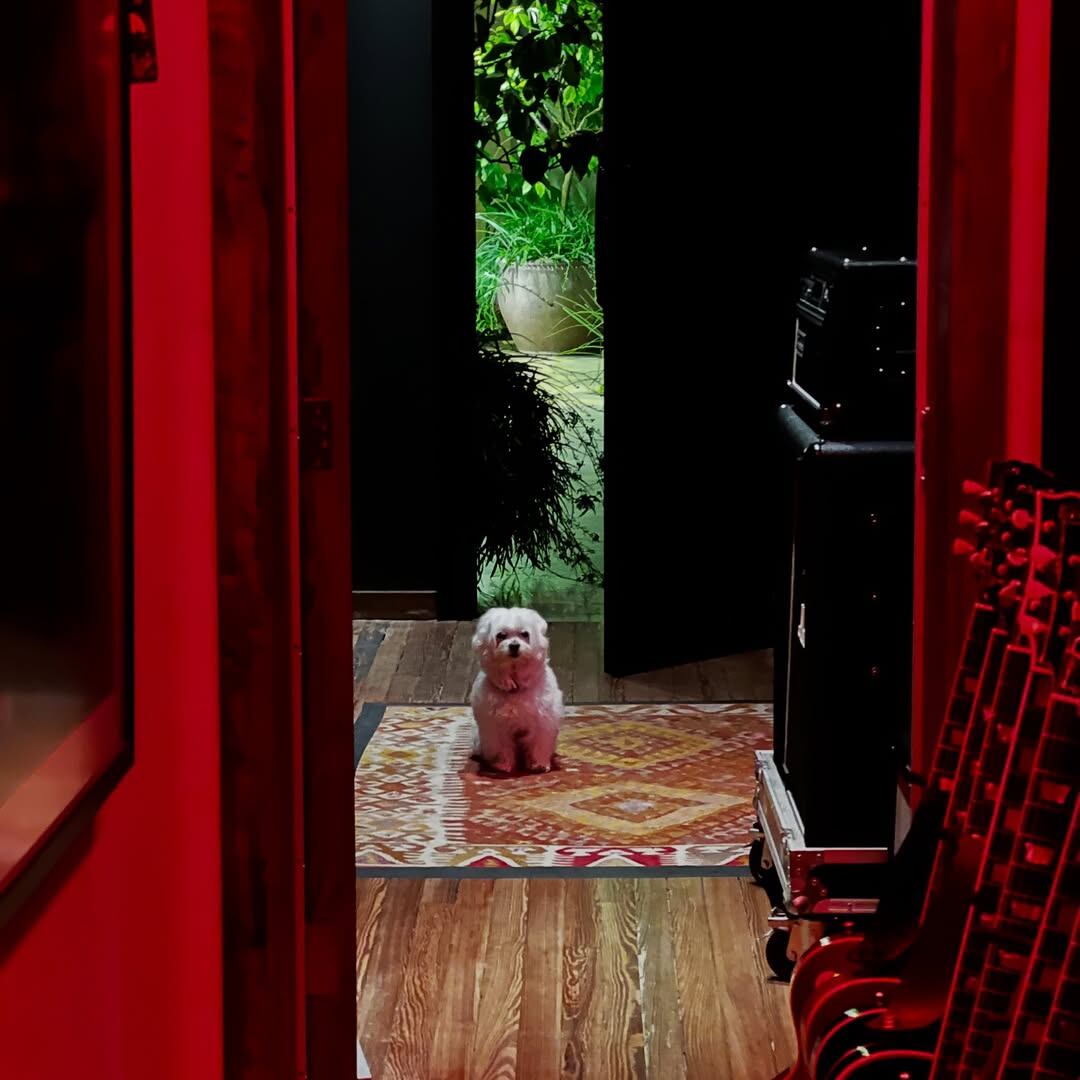 Copito, durante la visita de Depp