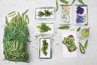 Un mundo de arvejas por Germán Martitegui