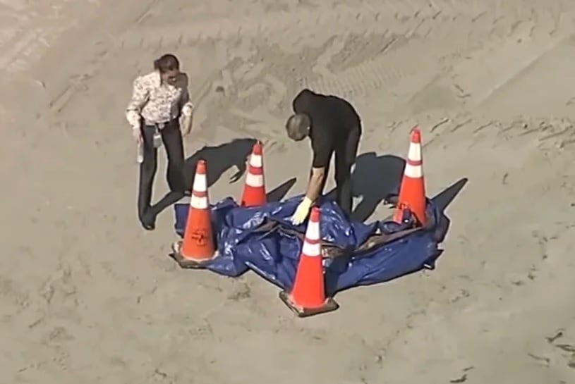 El médico forense del condado de Miami-Dade confirmó que los restos humanos eran los de Castaneda