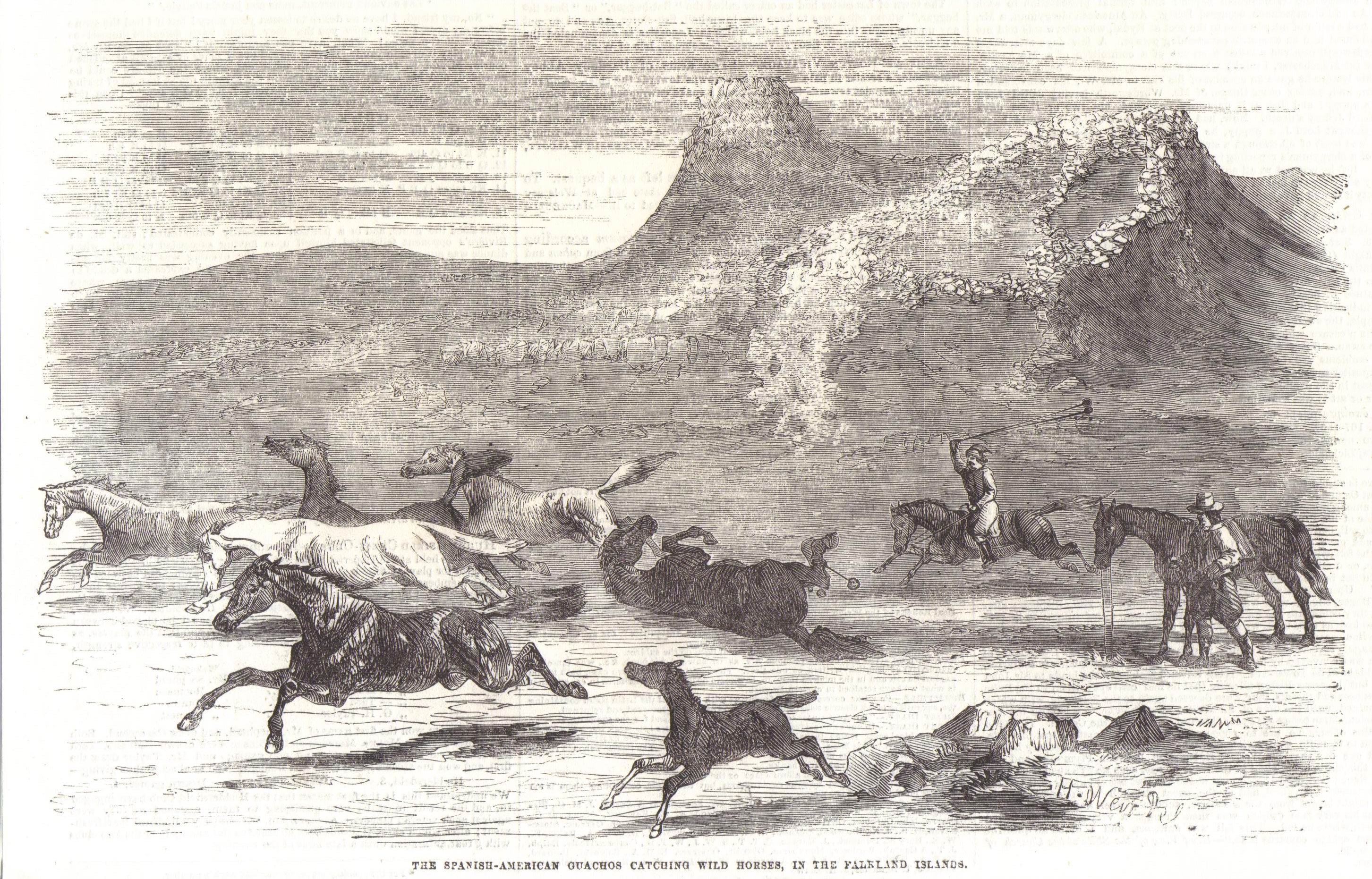 El diario La Gaceta Mercantil estimaba que para 1824“no habría menos de 40.000 cabezas de ganado, con un sinnúmero de caballos salvajes