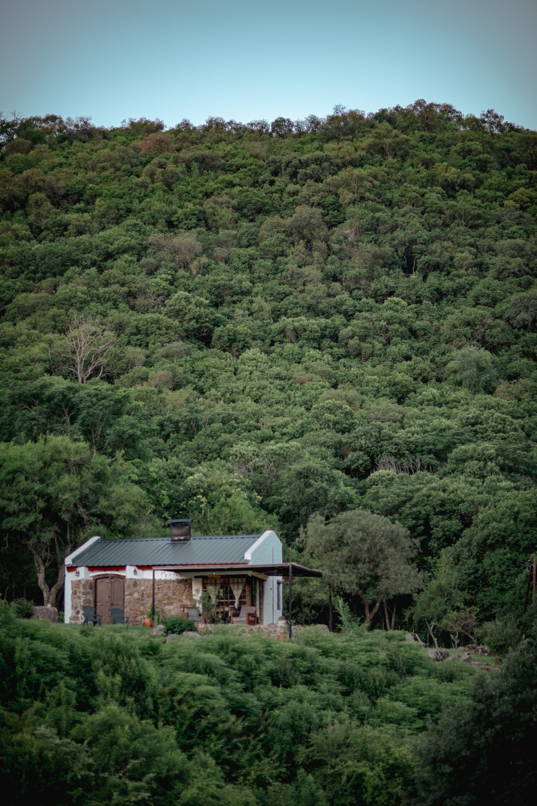 Las cabañas están integradas al monte nativo.