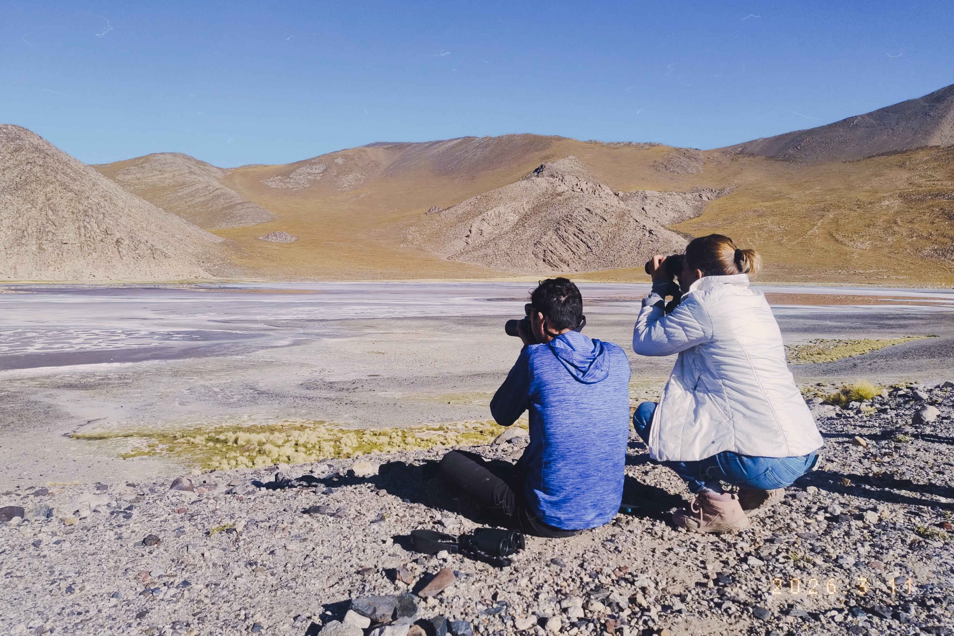 Avistaje de aves, uno de los atractivos de las Lagunas Altoandinas y Puneñas