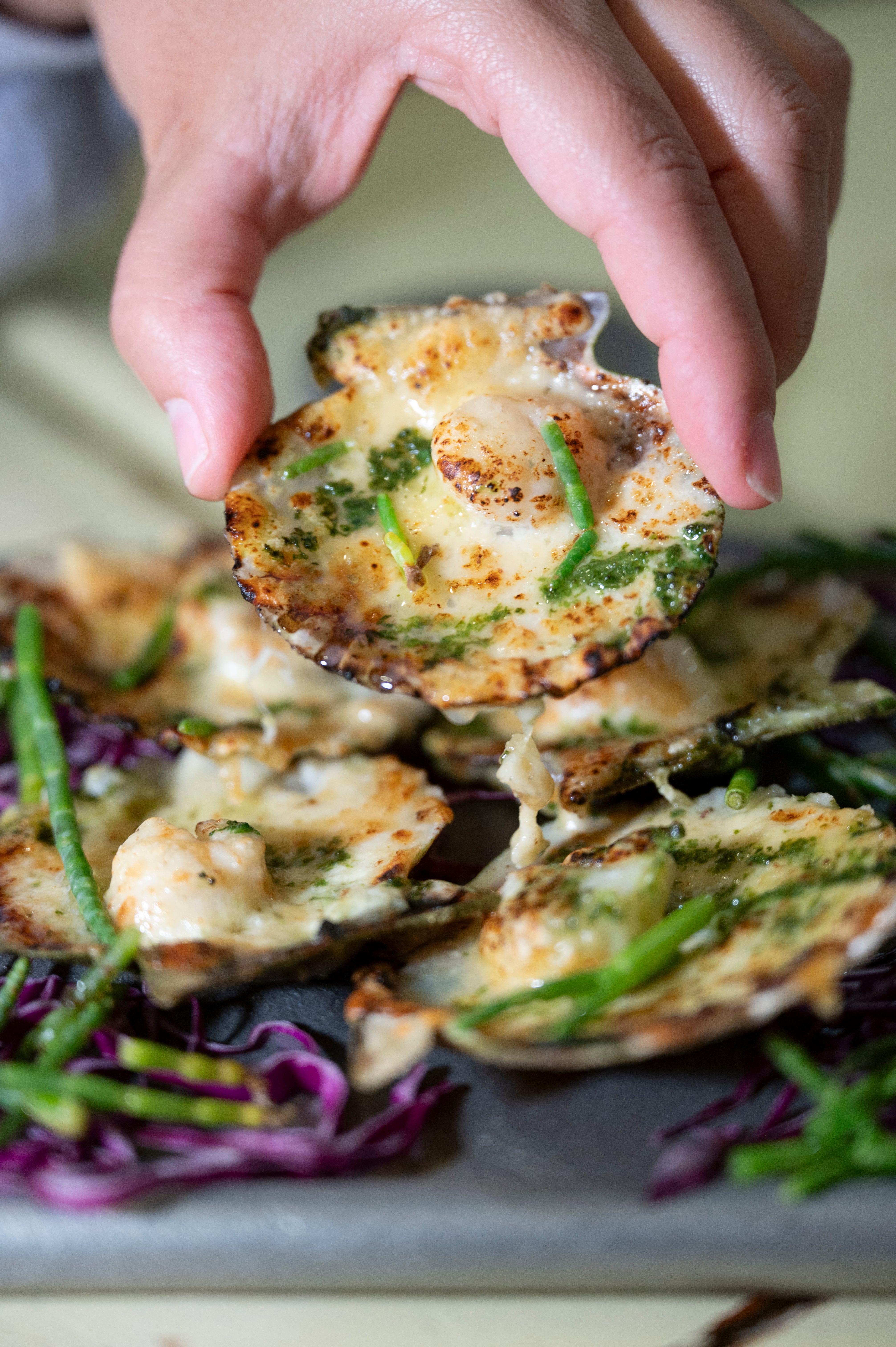 La pesca que ofrecen en La Covacha es de playa Larralde