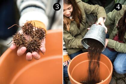 3. Colocar en la base de las macetas el material orgánico para el drenaje. 4. Colocar una capa de tierra en cada maceta