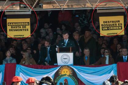 3 DE AGOSTO: los momentos posteriores a que, de forma remota, se activaron los dos dispositivos que dejaron caer las banderas que decían: "Ganaderos basta de desmontes" y "Destruir montes es un crimen".
