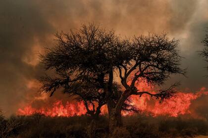 Córdoba, 30 de septiembre de 2019. Incendio forestal en la región de Mina Clavero