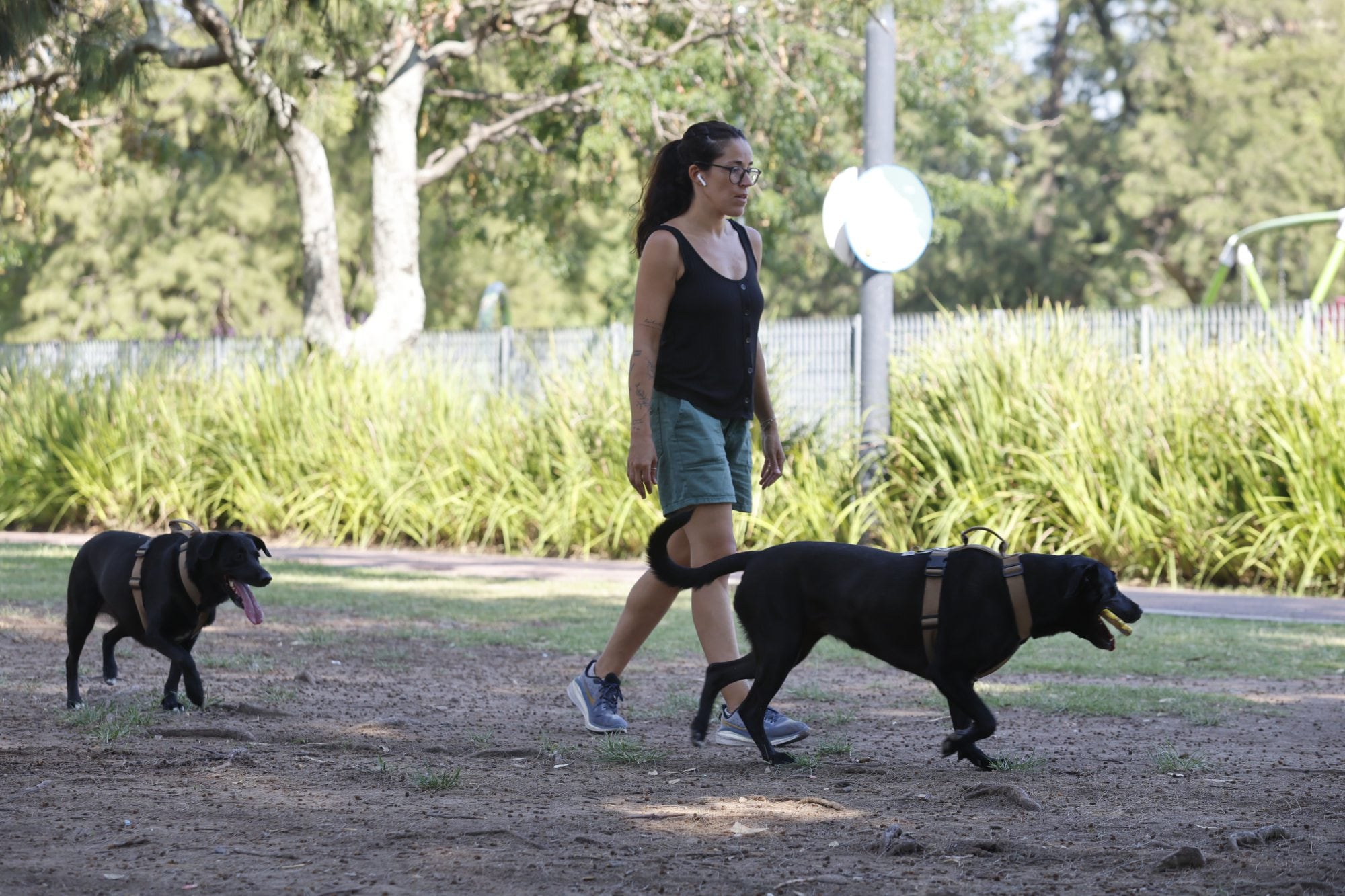 Los espacios verdes funcionan como un gran circuito urbano para caminar, explorar y socializar con animales