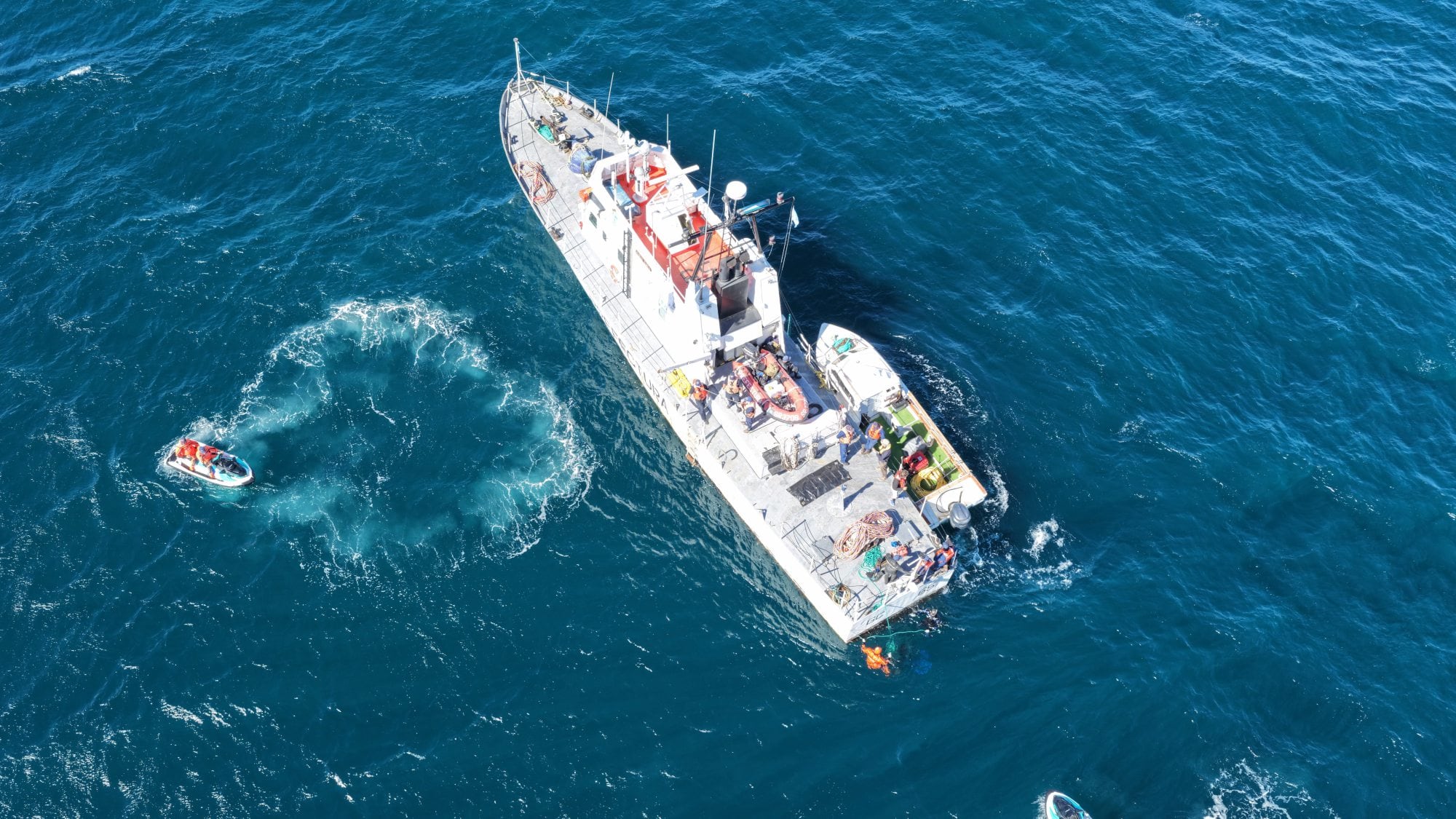 Encontraron el cuerpo de Sofía Devries, la joven buceadora desaparecida en Puerto Madryn