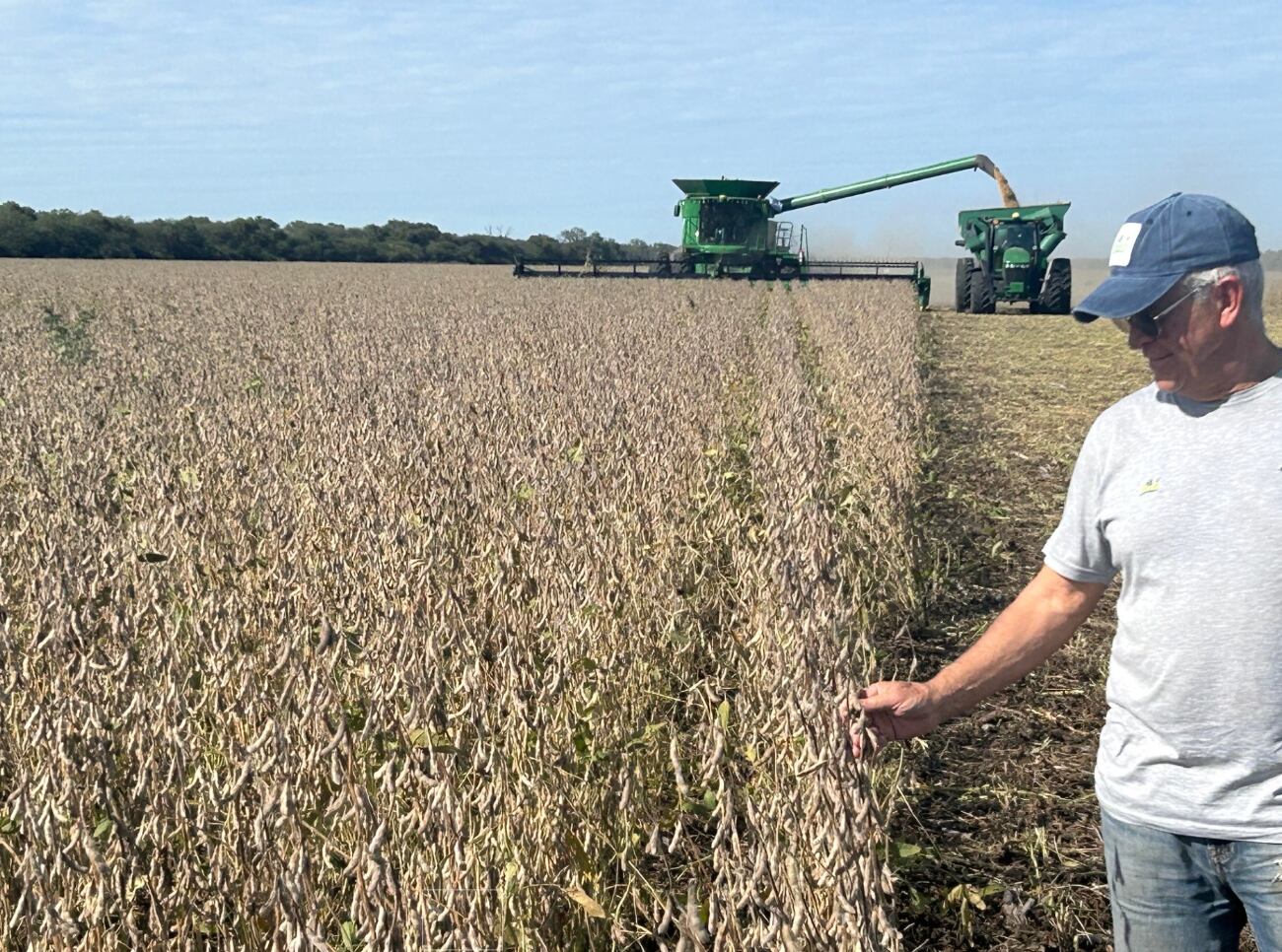 Durante 10 años sembraron campos arrendados hasta que los productores maniseros los desplazaron por la mayor rentabilidad de cultivo. Fue así que decidieron emigrar hacia el este de Santiago del Estero, particularmente hacia la localidad de Quimilí