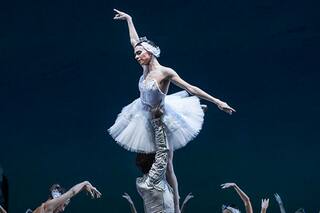 Sugerencias de Paloma Herrera: El lago de los cisnes y La viuda alegre, en casa