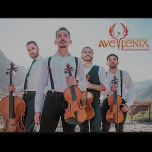 Ave Fénix