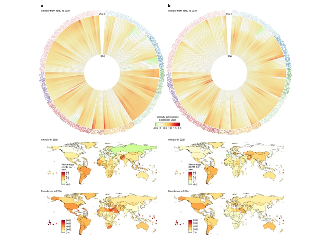 Evolución de la obesidad en más de 200 países entre 1980 y 2024: velocidades de cambio y niveles actuales por región