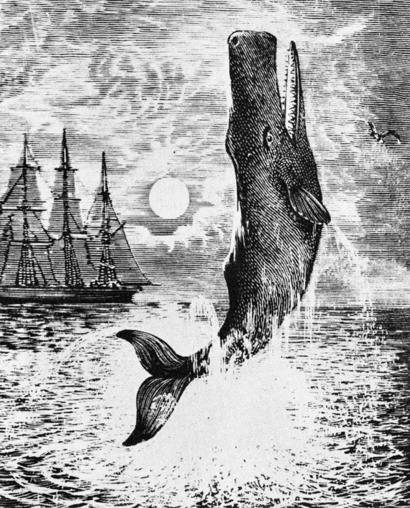 La trágica historia real del ballenero Essex inspiró Moby Dick de Herman Melville, y este grabado en madera de 1851 se usó como ilustración para las primeras ediciones o reseñas de prensa temáticas de la obra