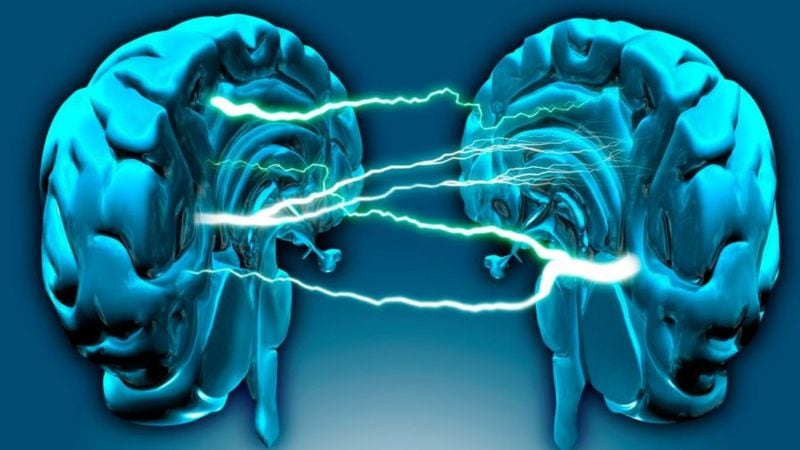 El cerebro mantiene la unidad de la visión pese a la división de tareas entre hemisferios