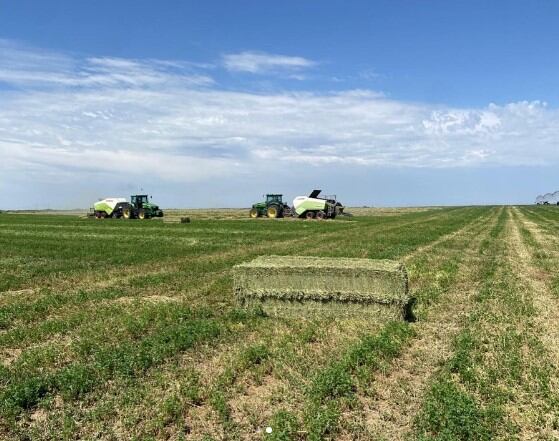 Además de Córdoba también hay desarrollo del negocio en otras provincias, como Río Negro