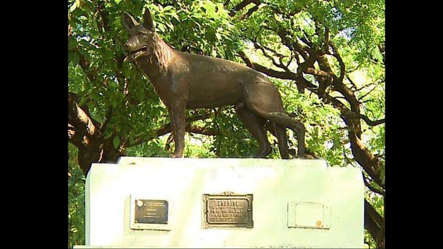 El Predio de la Policía Montada tiene una estatua de bronce en honor a Chonino