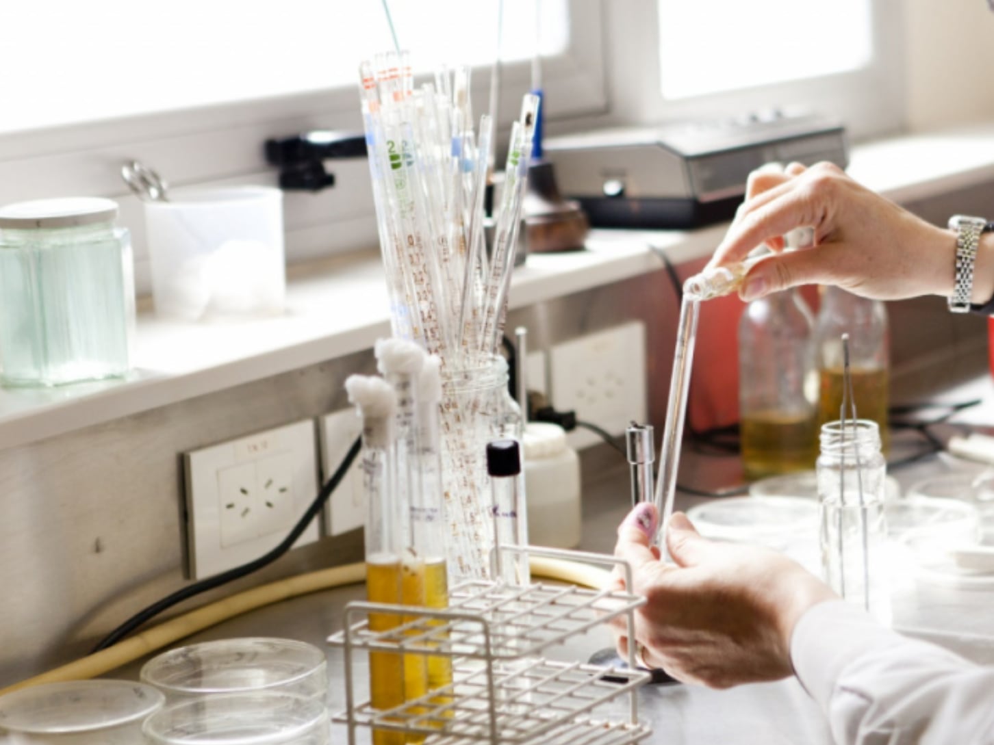 Opinión: los riesgos que enfrenta la industria farmacéutica veterinaria local