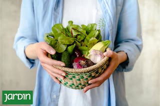 Cuáles son los alimentos ricos en azufre que tenés que comer