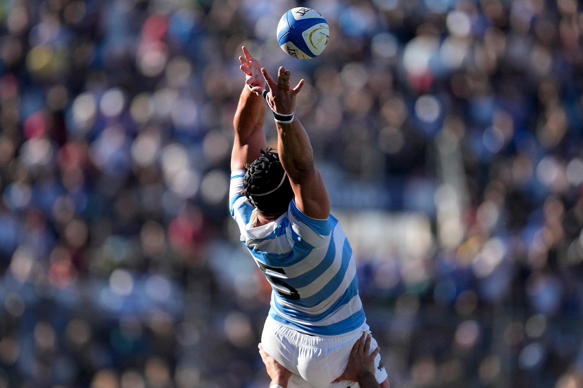 Tomás Lavanini llega para reforzar las formaciones fijas de los Pumas