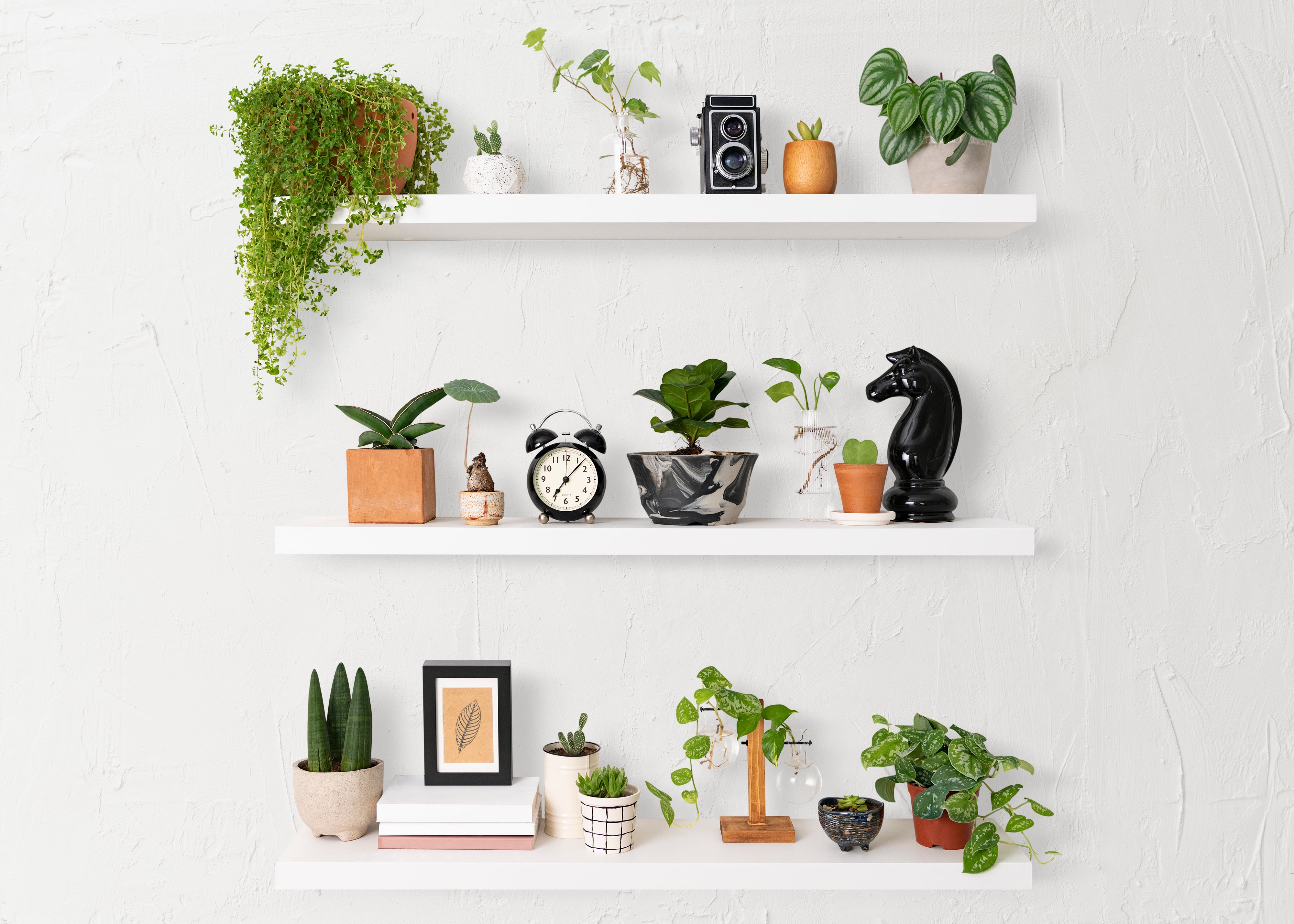 El "shelfie" inmobiliario: cómo diseñar la repisa perfecta que valoriza la propiedad y vende mejor