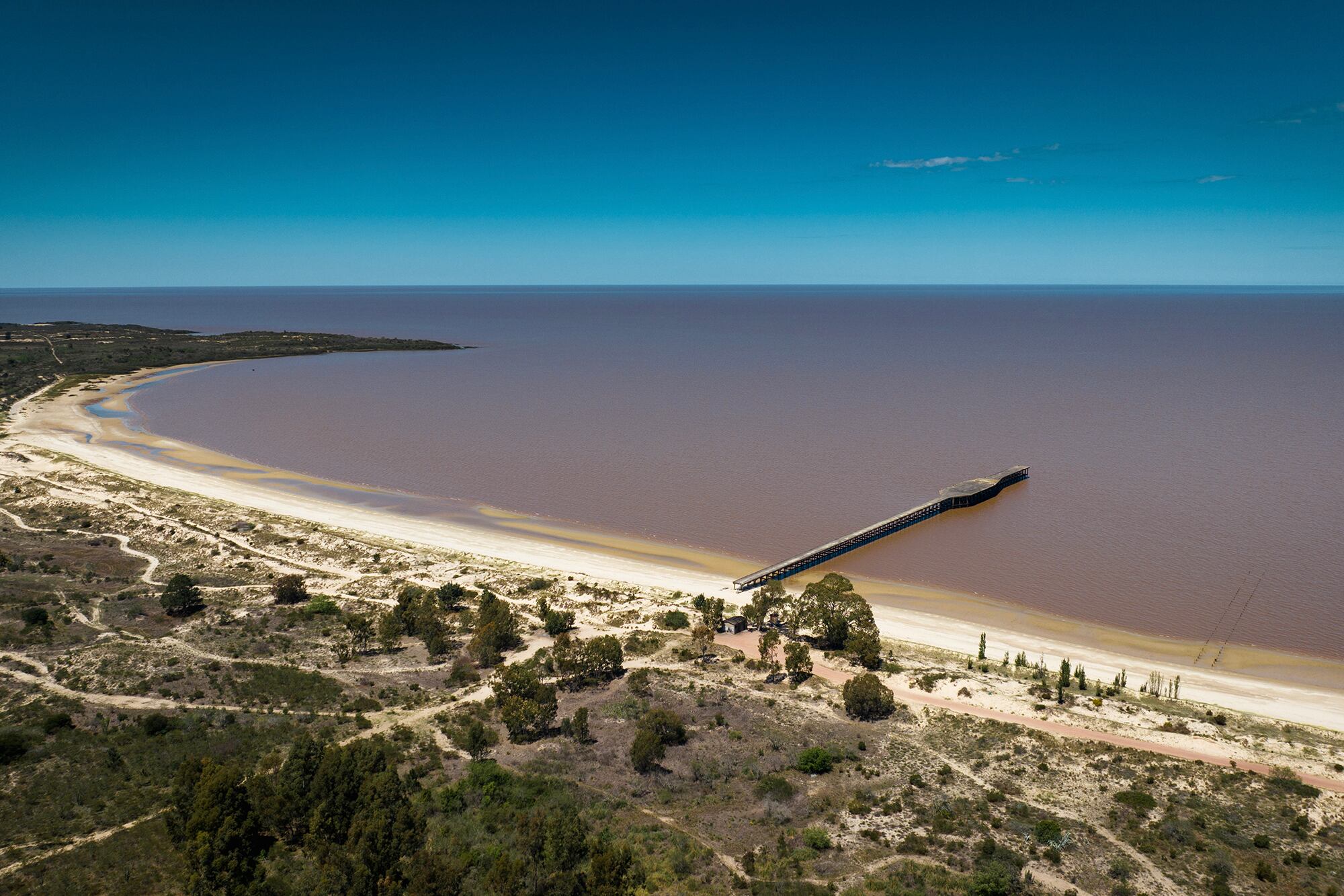 Todas las unidades tendrán vista al verde y al agua