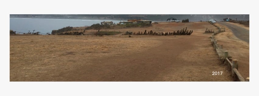 Así estaba la punta en 2017 cuando se comenzó con el proceso de repoblación