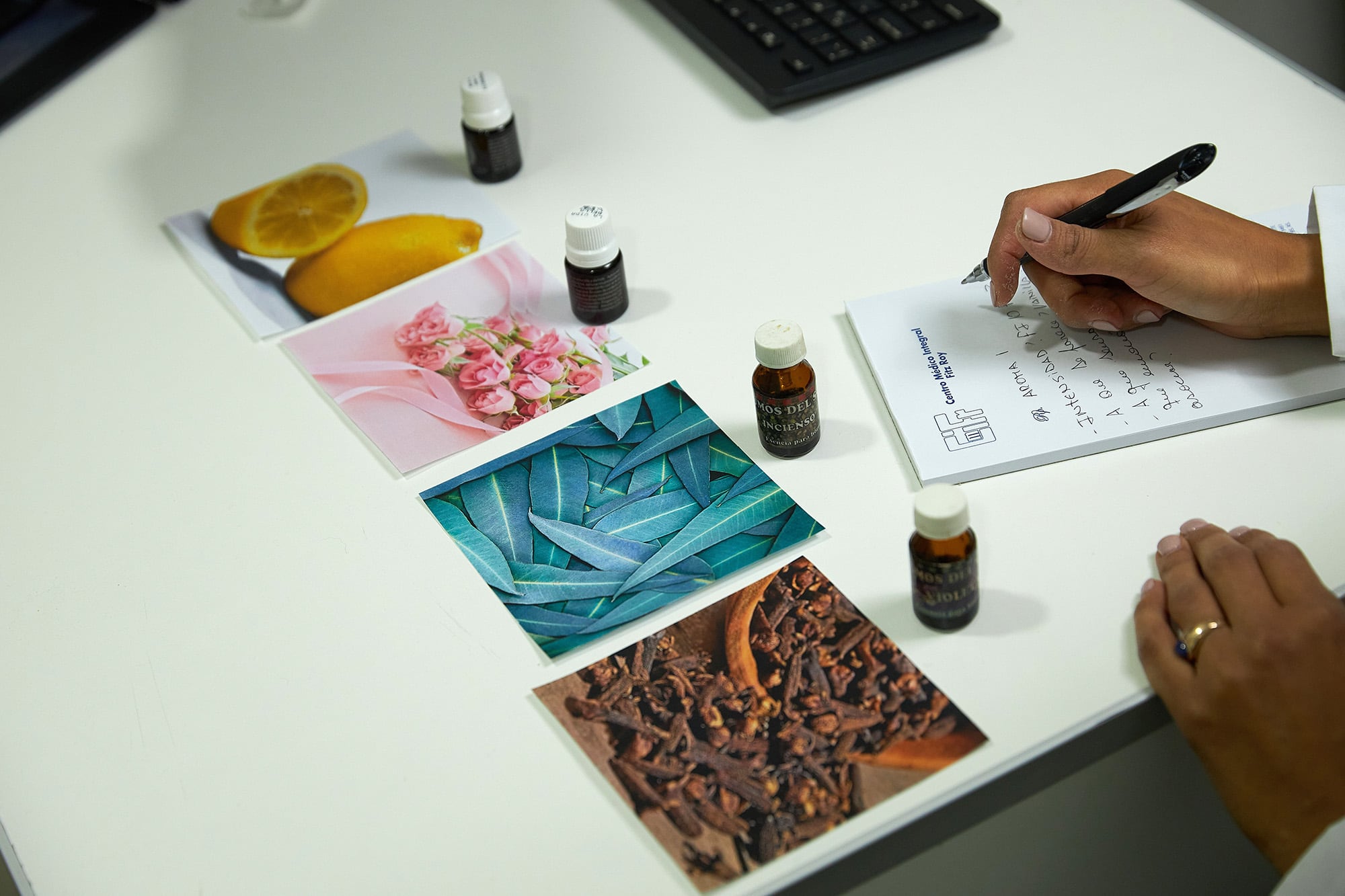 Pruebas sensoriales con distintas esencias aromáticas ilustran la diversidad de estímulos que el sistema olfativo debe organizar y procesar