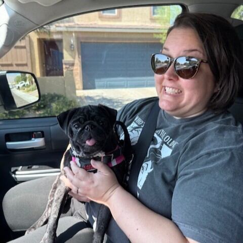 Talulah fue adoptada y ahora se llama Wednesday.