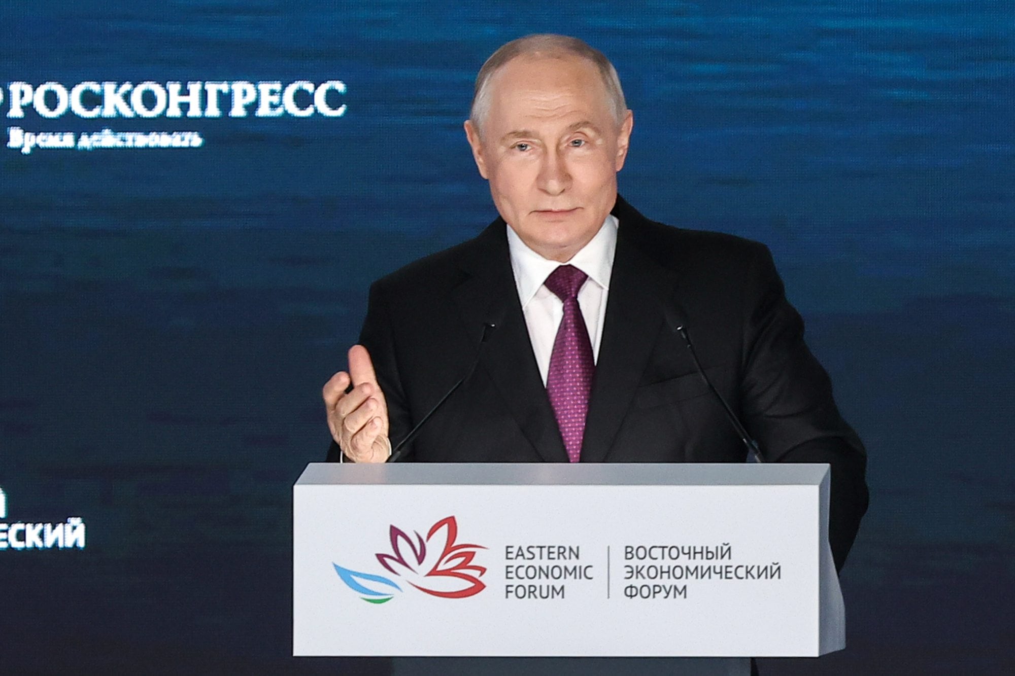 “Era de esperarse”: el trigo se desplomó US$12 tras una señal de Putin y el mercado argentino quedó bajo presión