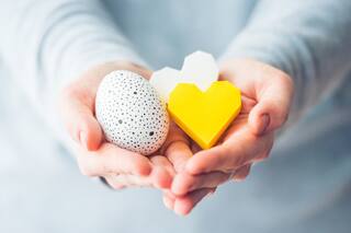 Donación de óvulos: la demanda aumenta más rápido que el número de donantes