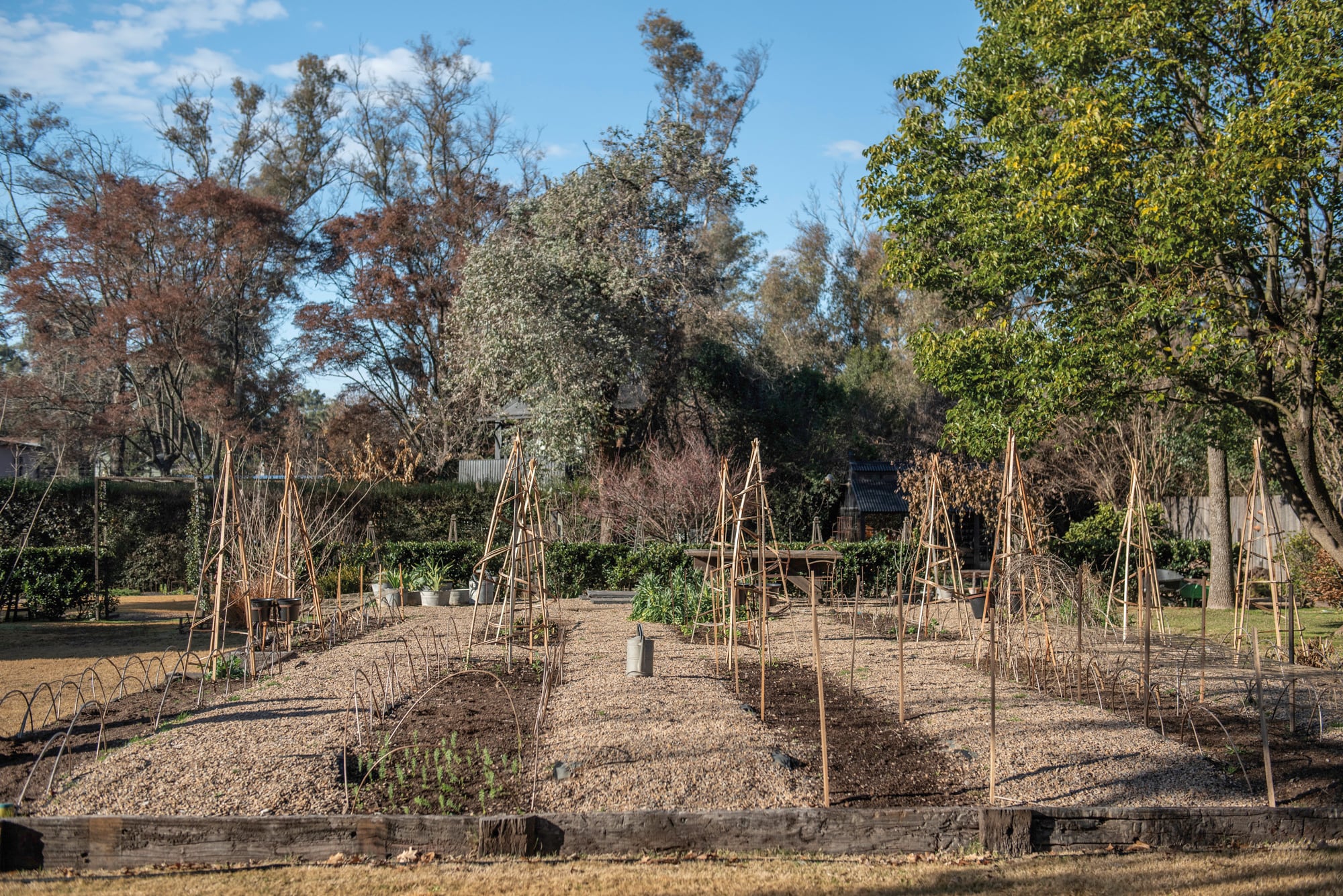 Sector del jardín donde se dispondrán las flores de primavera. Los tutores de mimbre sostendrán alverjillas de olor