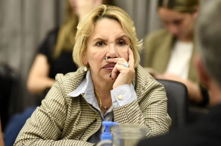 Qué dijo la diputada de Pro que organizó el acto antivacunas en el Congreso