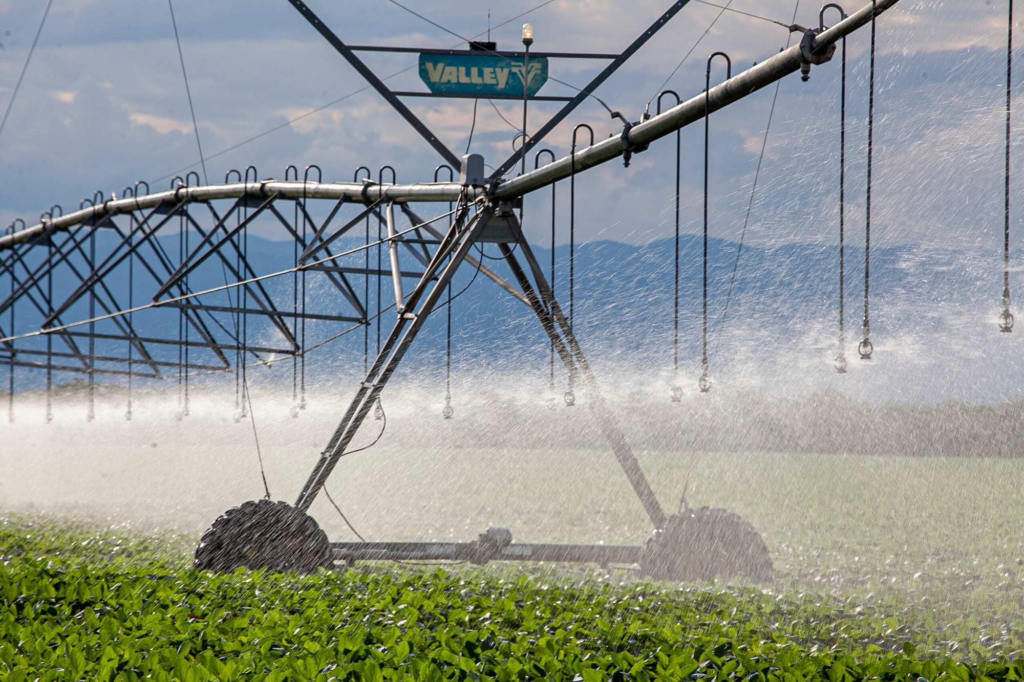 Salió con la reforma laboral: qué cambia con el RIMI, la ambiciosa apuesta del Gobierno para las medianas inversiones