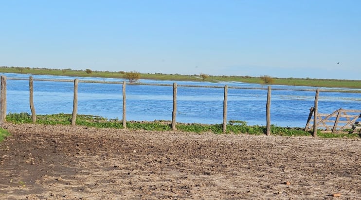 El Niño: reclaman un plan nacional para enfrentar el fenómeno climático extremo y actuar antes de las inundaciones 7 En CRA señalaron que el diálogo con el gobierno nacional es permanente, especialmente en lo referido al funcionamiento de la Ley de Emergencia Agropecuaria, aunque consideran que la discusión no debería comenzar recién cuando los daños ya están instalados