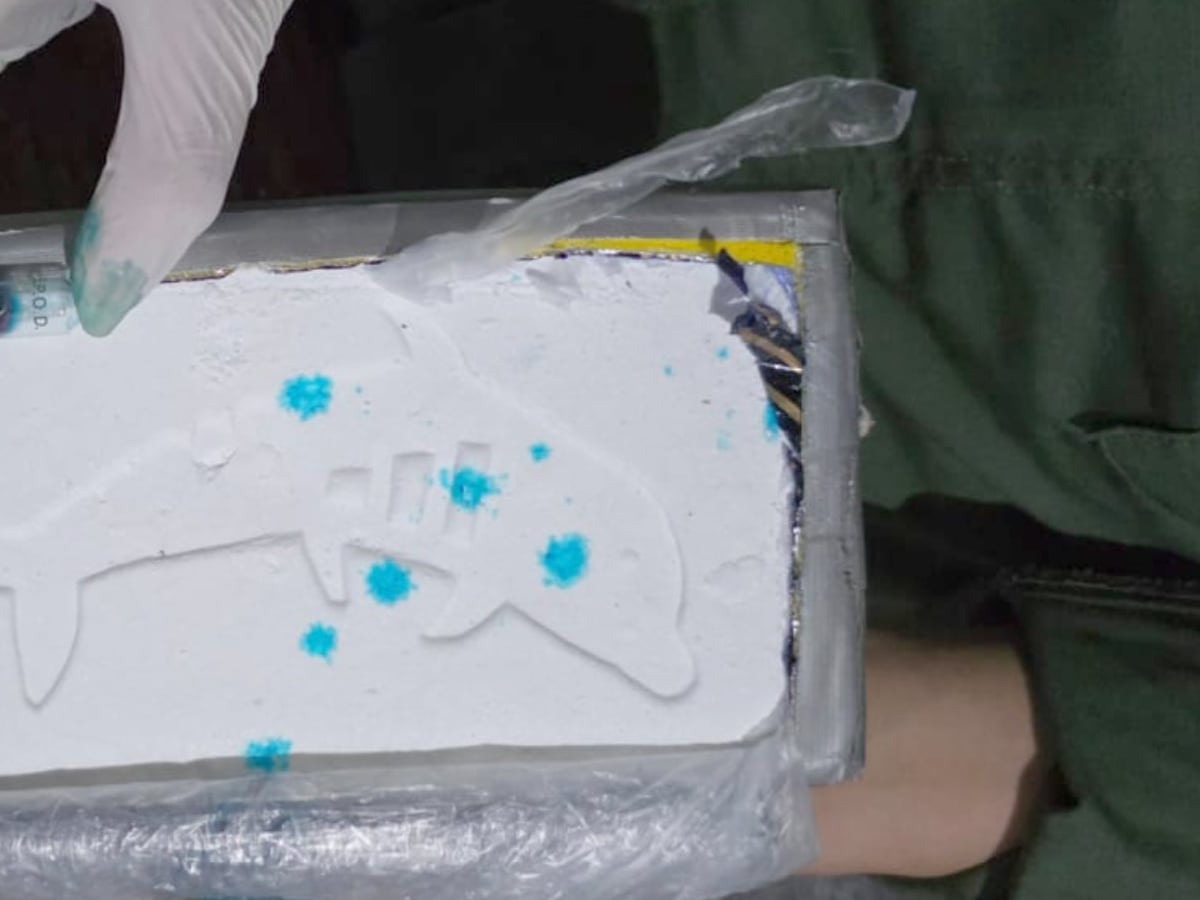 La marca del delfín vuelve a aparecer: secuestran cargamentos de cocaína camuflados en muebles y un micro