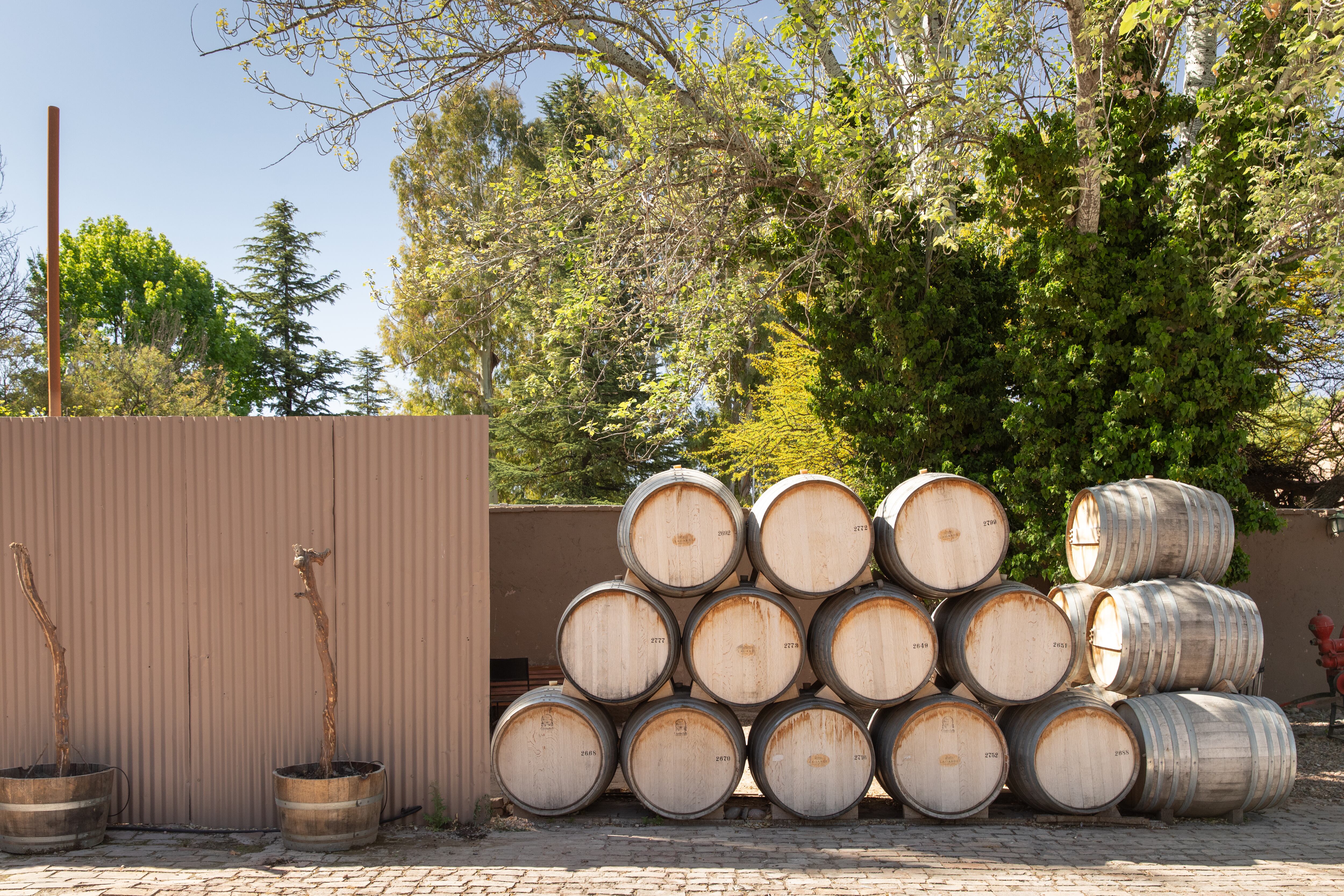 Toneles de vino en los patios de Bodega Lagarde