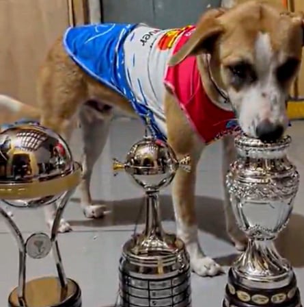 La CONMEBOL le hizo llegar un presente a Dexter y su familia (Captura: X)