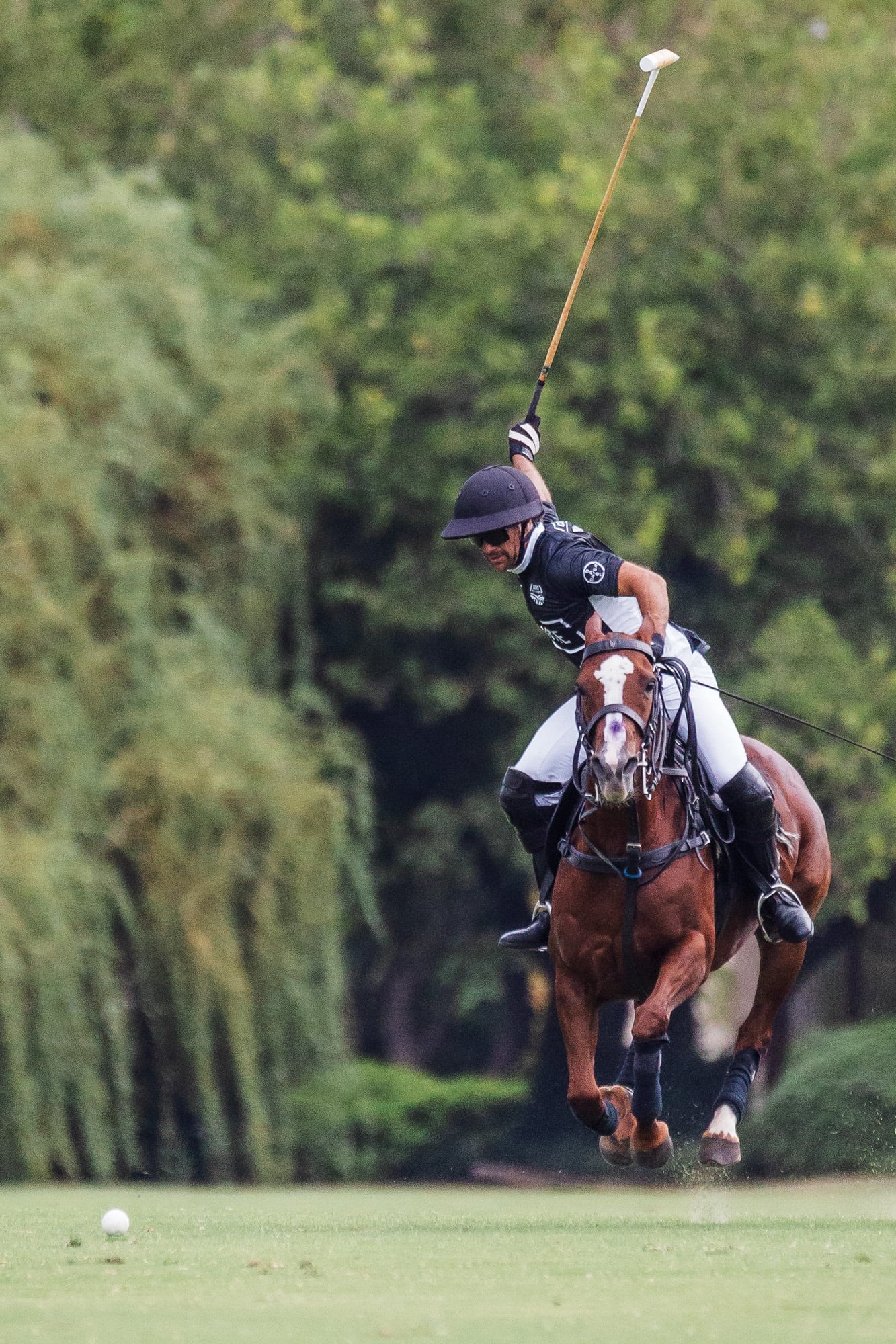 Hace tres años, cuando se retiró con toda la gloria del fútbol (ganó 17 títulos con River), Ponzio empezó a participar en torneos de polo