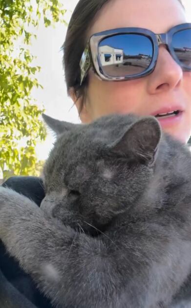 Begg no pudo evitar conmoverse con la escena del gato herido en la ruta  (Foto: @feespaack)