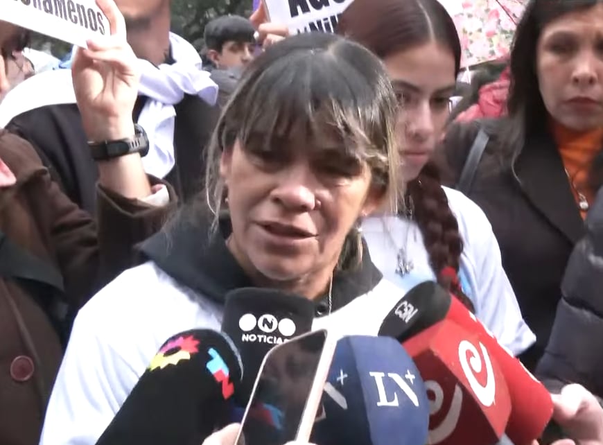 Elizabeth, abuela de Agostina Vega, durante la marcha de Ni Una Menos