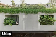 Una casa con celosía árabe se convirtió en un oasis urbano que combina naturaleza y diseño