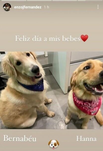 La postal de Hanna y Bernabéu, los dos perros de Enzo Fernández